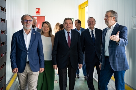 Luis Planas visita Mercalaspalmas, ejemplo de la importancia de los mercados de mayoristas para el abastecimiento de alimentos  foto 2