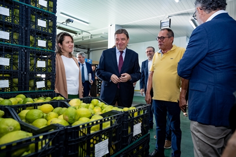 Luis Planas visita Mercalaspalmas, ejemplo de la importancia de los mercados de mayoristas para el abastecimiento de alimentos  foto 3