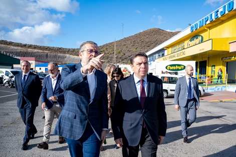 Luis Planas visita Mercalaspalmas, ejemplo de la importancia de los mercados de mayoristas para el abastecimiento de alimentos  foto 4