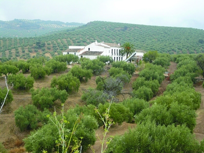 Cortijo típico de la zona